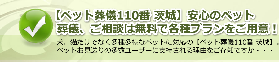 【ペット葬儀110番 茨城】安心のペット葬儀、ご相談は無料